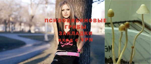 индика Надым