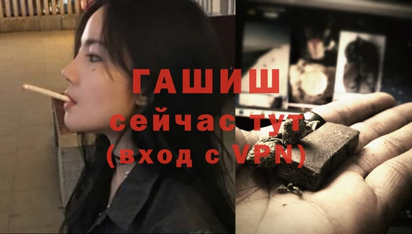 индика Надым