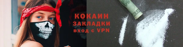 индика Надым
