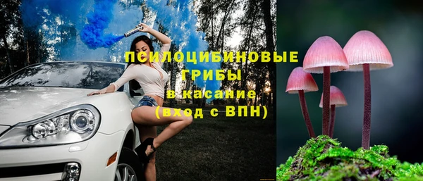 apvp Нея