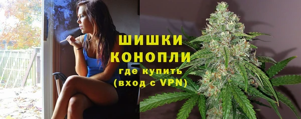 индика Надым