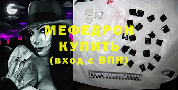 индика Надым