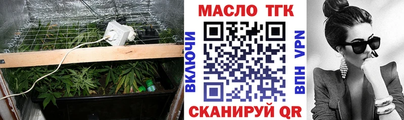 где продают   Новокузнецк  ТГК концентрат 