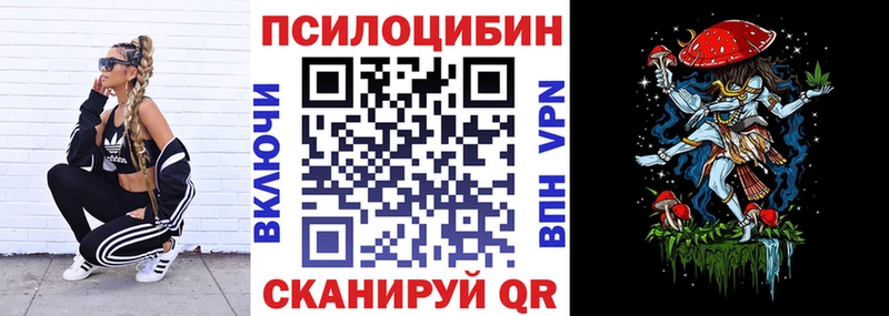 ОМГ ОМГ сайт  Новокузнецк  Галлюциногенные грибы Psilocybine cubensis 