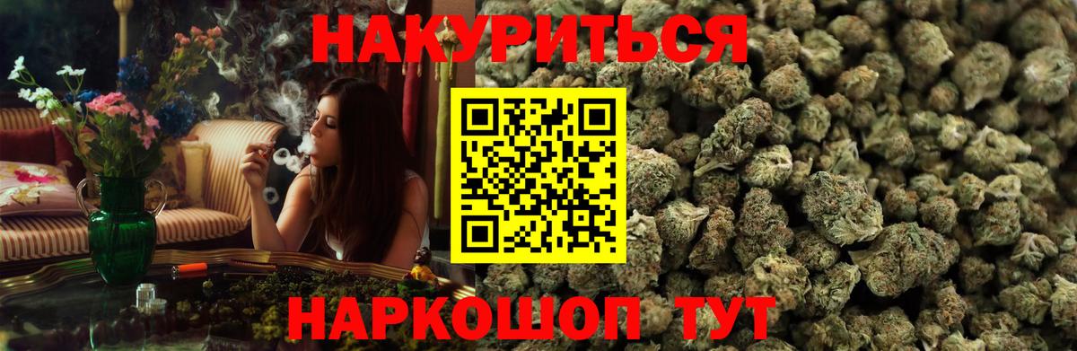 Канабис сатива Новокузнецк